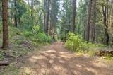 0 Mtn. Dew Lane - Photo 20