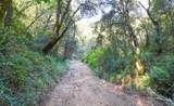 0 Gold Creek Lane - Photo 11