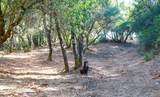 0 Gold Creek Lane - Photo 6
