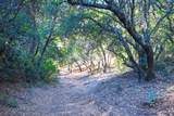0 Gold Creek Lane - Photo 7