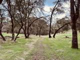 4981 Mourning Dove Lane - Photo 10
