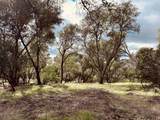 4980 Mourning Dove Lane - Photo 8