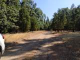 13762 Lightning Tree Road - Photo 2