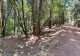 12755 Red Dog Road - Photo 10