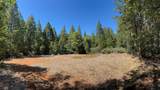 12755 Red Dog Road - Photo 12