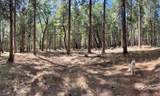 12755 Red Dog Road - Photo 13