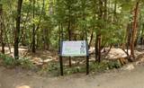 12755 Red Dog Road - Photo 14