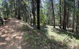 12755 Red Dog Road - Photo 6