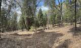 12755 Red Dog Road - Photo 7