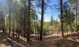 12755 Red Dog Road - Photo 8
