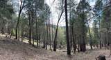 12755 Red Dog Road - Photo 9