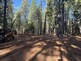 13325 Serpentine Way - Photo 1