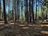 13325 Serpentine Way - Photo 14