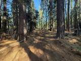 13325 Serpentine Way - Photo 16