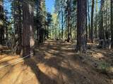 13325 Serpentine Way - Photo 6