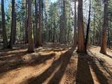 13325 Serpentine Way - Photo 7