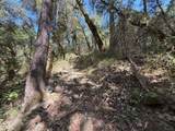 14742 Boquest Drive - Photo 29