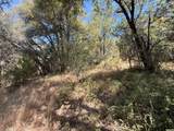 14742 Boquest Drive - Photo 30