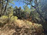 14742 Boquest Drive - Photo 32