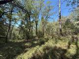14742 Boquest Drive - Photo 35