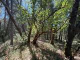 14742 Boquest Drive - Photo 36