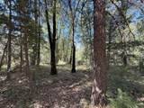 14742 Boquest Drive - Photo 37
