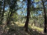 14742 Boquest Drive - Photo 39