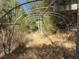 14742 Boquest Drive - Photo 43