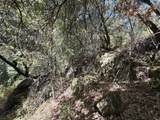 14742 Boquest Drive - Photo 44