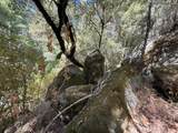 14742 Boquest Drive - Photo 45
