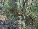 14742 Boquest Drive - Photo 46