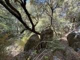 14742 Boquest Drive - Photo 47
