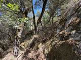 14742 Boquest Drive - Photo 48