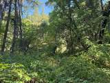 14742 Boquest Drive - Photo 9
