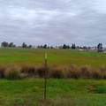 5 Hobday Road - Photo 5