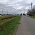 5 Hobday Road - Photo 6