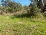 13911 Ingersoll Drive - Photo 8
