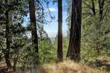 12683 Spider Hill Road - Photo 1