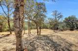 12920 Woodlake Road - Photo 10