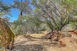 12920 Woodlake Road - Photo 14