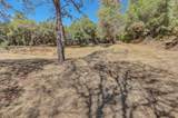 12920 Woodlake Road - Photo 19