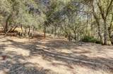 12920 Woodlake Road - Photo 3