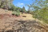 12920 Woodlake Road - Photo 36