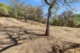 12920 Woodlake Road - Photo 58