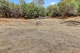 12920 Woodlake Road - Photo 60