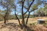 12920 Woodlake Road - Photo 69