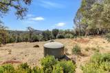 12920 Woodlake Road - Photo 72