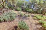 12920 Woodlake Road - Photo 73