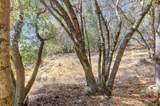 12920 Woodlake Road - Photo 74