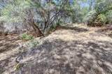 12920 Woodlake Road - Photo 76
